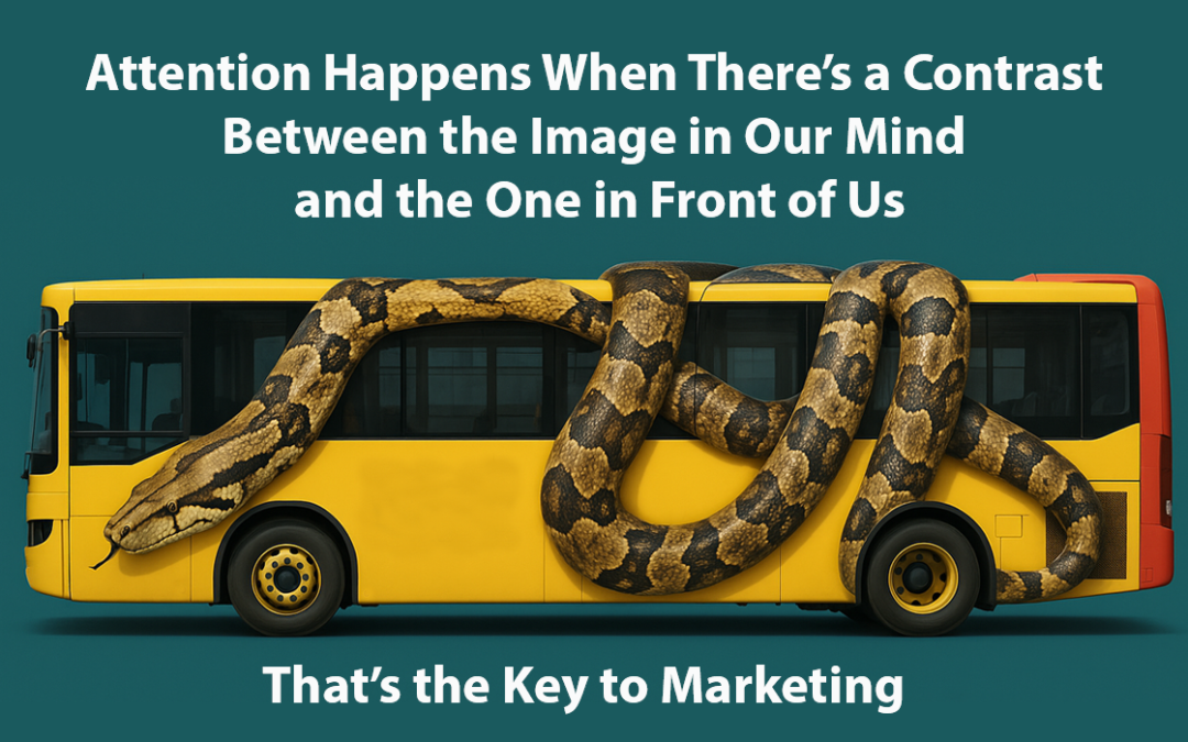 تصویرسازی ذهنی و کنتراست: کلید جلب توجه در مارکتینگ