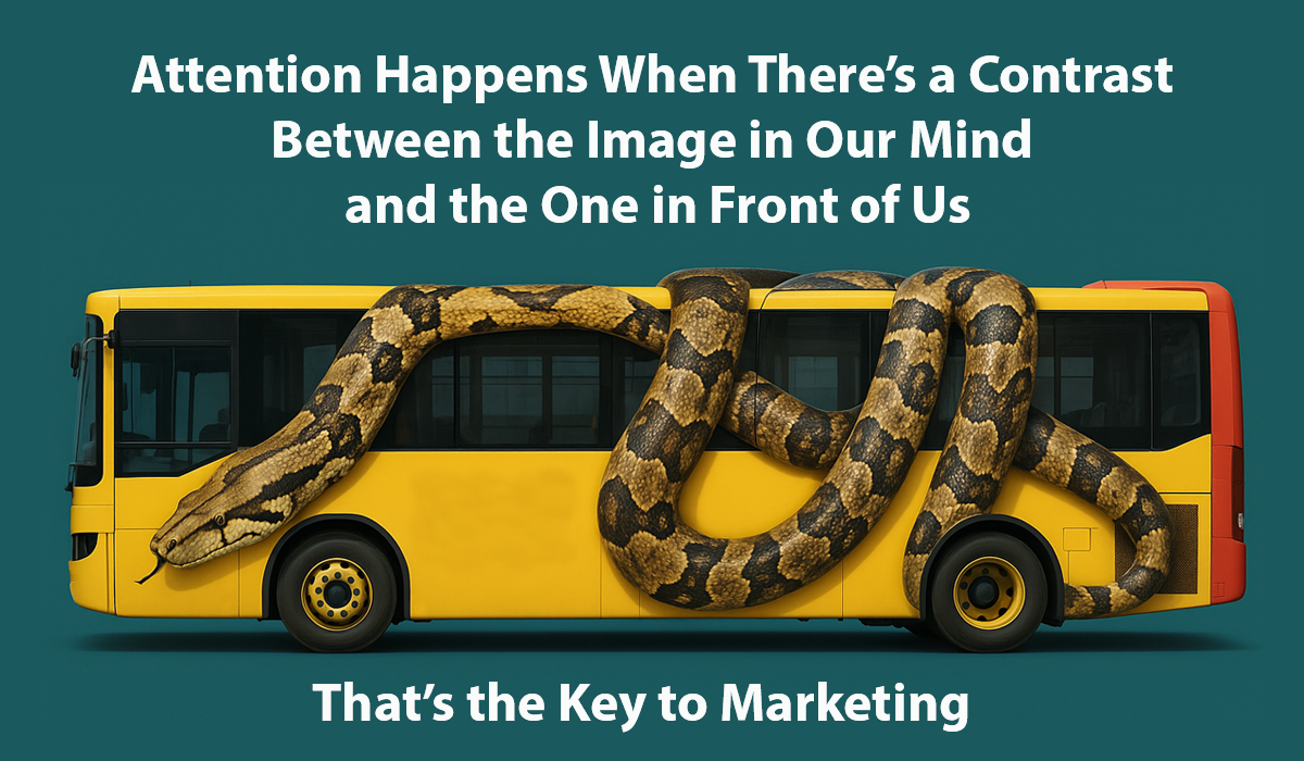 persian business academy contrast